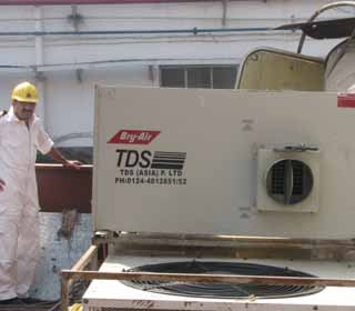 tds asia