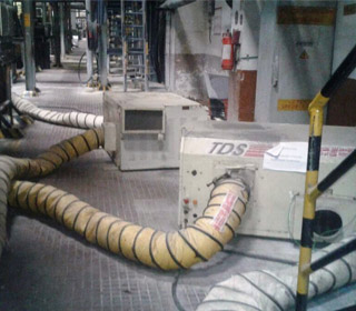 tds asia